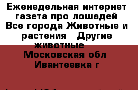 Еженедельная интернет - газета про лошадей - Все города Животные и растения » Другие животные   . Московская обл.,Ивантеевка г.